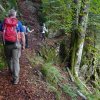 09 b Schluchensteig Etappe 4 - 6